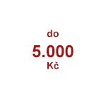 2.000 - 5.000 Kč